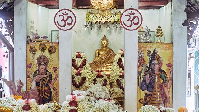 กิจกรรมพิเศษที่ดอยคำ