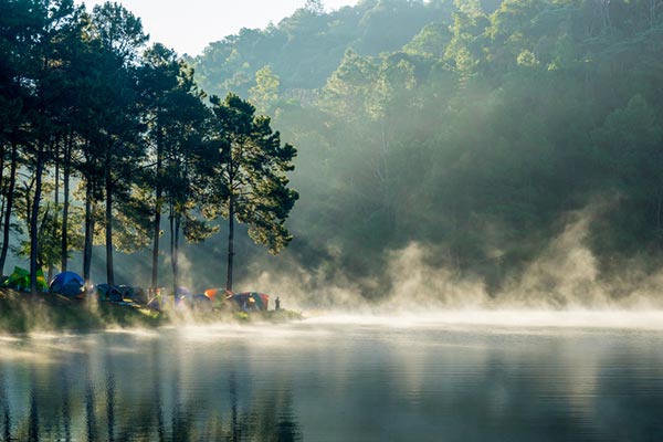 หมอกปางอุ๋ง