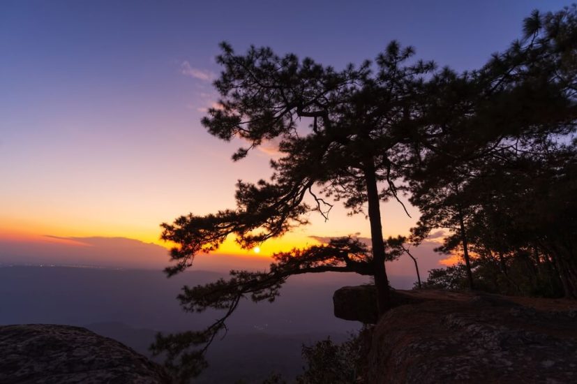 ผาหล่มสัก