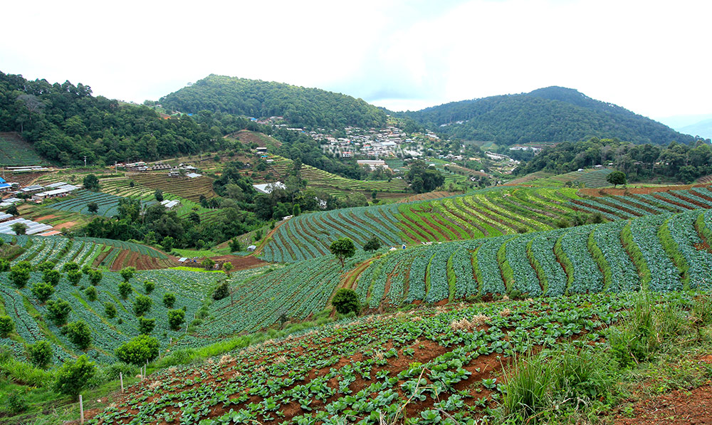 หมู่บ้านโป่งแยง