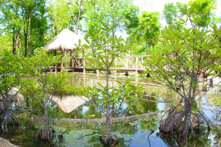 อุทยานหลวงราชพฤกษ์