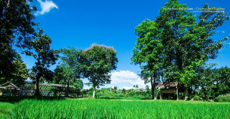 อุทยานหลวงราชพฤกษ์